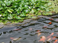 -大连植物园