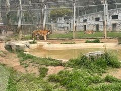 -杭州野生动物世界