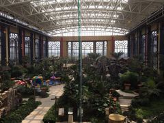 -郑州银基黄帝宫御温泉