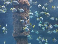 -厦门海底世界