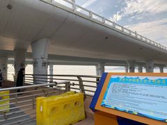 -演武大桥观景平台