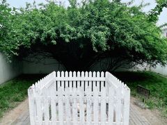 -北京鲁迅博物馆(北京新文化运动纪念馆鲁博馆区)