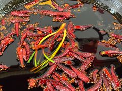 -铜元老码头鳝鱼火锅