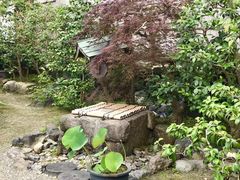 景观位-中村藤吉(本店)