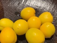 -塔哈尔·新疆盛宴(奉贤龙湖店)