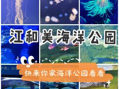 -江和美海洋公园