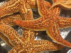 -鲜鲜·鲅鱼圈海鲜(于洪店)