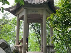 -紫金山山顶公园