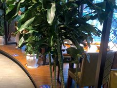 -盐帮食坊•小河帮川菜(四川师大店)