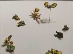 -清华大学艺术博物馆