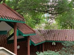-九龙公园