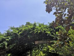 -烟台山景区