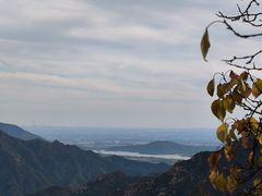 -大岭沟猕猴桃谷风景区