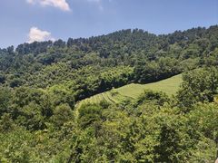 -敬亭山风景名胜区