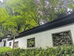 -杭州黄龙洞