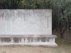 -宜兴龙背山森林公园