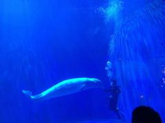 -多彩贵州城极地海洋世界