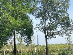 -三圣花乡旅游区