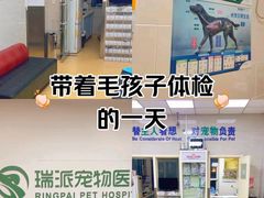 -瑞派天宁宠物医院·猫科·异宠中心