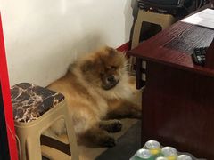 -西昌老号李小肠特色烧烤园(双流店)
