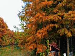 -上海海湾国家森林公园