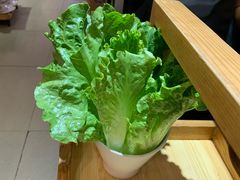 生菜-陈记顺和牛肉火锅馆(天河北路店)