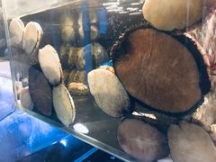-羽山料理