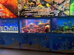 -海合安成都极地海洋公园