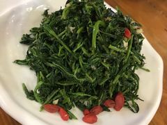 清香枸杞苗-国强手抓(北京西路店)