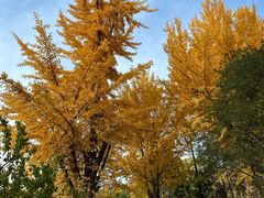 -森林公园(尖草坪区)