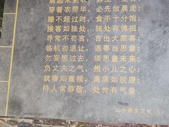 -观澜山水田园