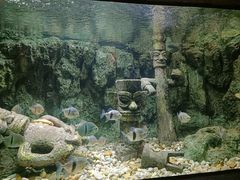 -北海海底世界