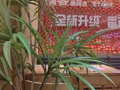 -福客麻辣烫·现炒麻辣香锅(印力中心店)