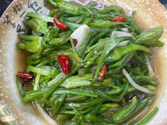 素炒海菜-朱家小厨(红塔西路店)
