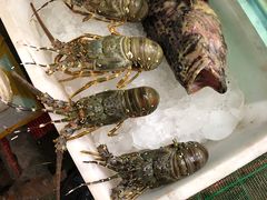 -青石桥市场北1-27号