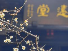-钱王祠