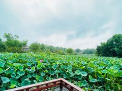 -云居湖