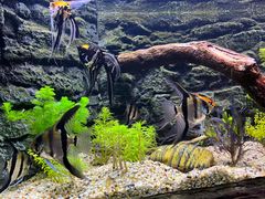 -上海海洋水族馆