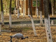 -艾溪湖湿地公园