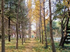 -洛阳市隋唐城遗址植物园