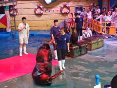 -烟台海昌鲸鲨海洋公园