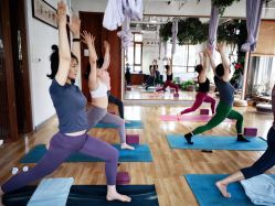 -花间禅净·瑜伽