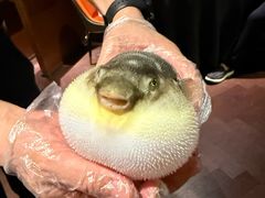 -肆月河豚·淮扬菜·湘菜(华天店)