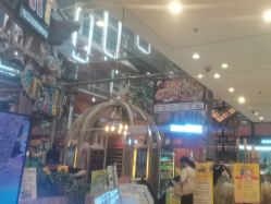 -卡通尼·Safari非洲探索乐园·生日会(金桥国际商业广场店)