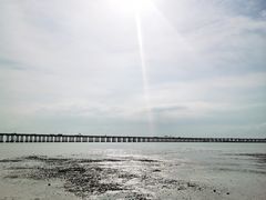 -宝安西湾红树林湿地公园