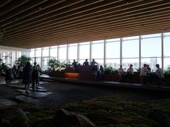 -Seesaw Coffee(朝阳大悦城店)