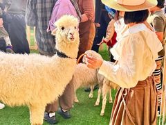-瑞虹新天地月亮湾