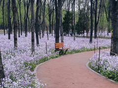 -将府公园