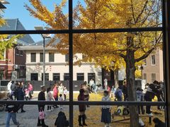 -天正河鲀·河豚亭(大连店)