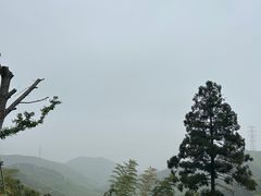 -东明山森林公园